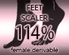 Foot Feet Scaler 114%
