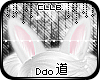 -Dao; Rabbit Ears V1
