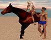 HORSE COUPLE