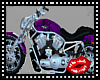 GA Purple Harley Custom