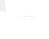 ✘ Kawaii Eyebrow .05
