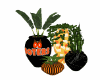 !Hooters Plant 1