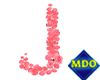 M! Rose Letter J