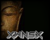 Buddha Pic B