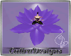 Purple Meditation Lotus