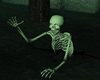J~ Halloween Skeleton