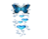 Blue Bfly and Hearts Gif