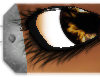 [XDX] Male Eyelashes