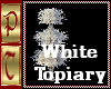 White Topiary