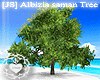 [JS] Albizia saman Tree