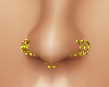 golden nose full rings