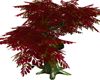 red tree w poses
