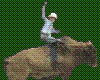 [A] Bull Rider