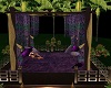 (S)Persian tent purple