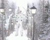 !🎄Snow Winter