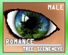Tree scene #Eye