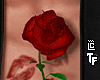 r. Rose Love