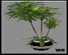 [WR]Coffee/Bar:Plant