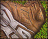 6s Golden Harvest