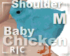 R|C Baby Chick Blue M