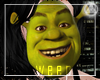 Shrek Mask