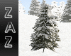 (ZaZ) WD Tree