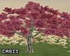 Pink Tree