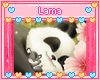 Panda Love Picture