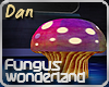 CD| Fungus Rainbow ST