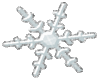 Large Snowflake Sticker
