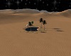 Desert Oasis At Night V1