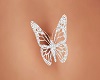 JS Butterfly Belly