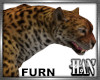[H]Leopard ► Furn