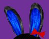 Black Blue Bunni Ears