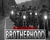 BROTHERHOOD BIKER PIC