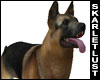 SL Guard Dog Poseless