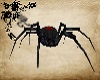 Annimated Spider