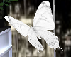 White Flying Butterflies