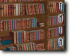 Modern Bookshelf