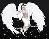 White Male Angel Floating Angels