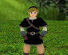 Dark Skyward Link (2)