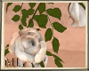 ML White Roses Decor