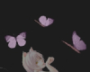 pinky butterflies ✨