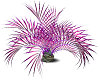 Purple/Pink Anim Plant