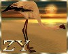 ZY: Flamingo Bending
