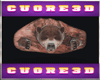 Animal Head Wall4