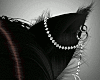 Kitty Black Ears