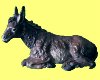 [YEY] burro pesebre
