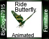 [BD] Ride Butterfly