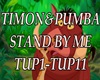 Timon&Pumba Stand